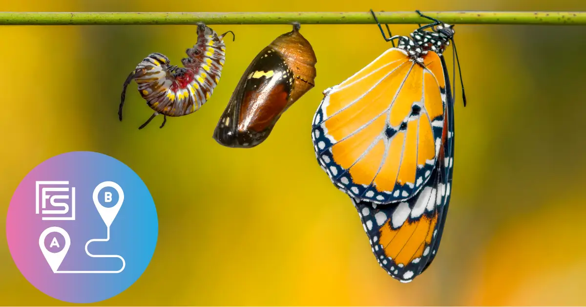 Transform your fleet route planning with My Transport Planner
