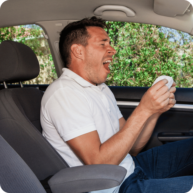 Summer driving survival guide (3)