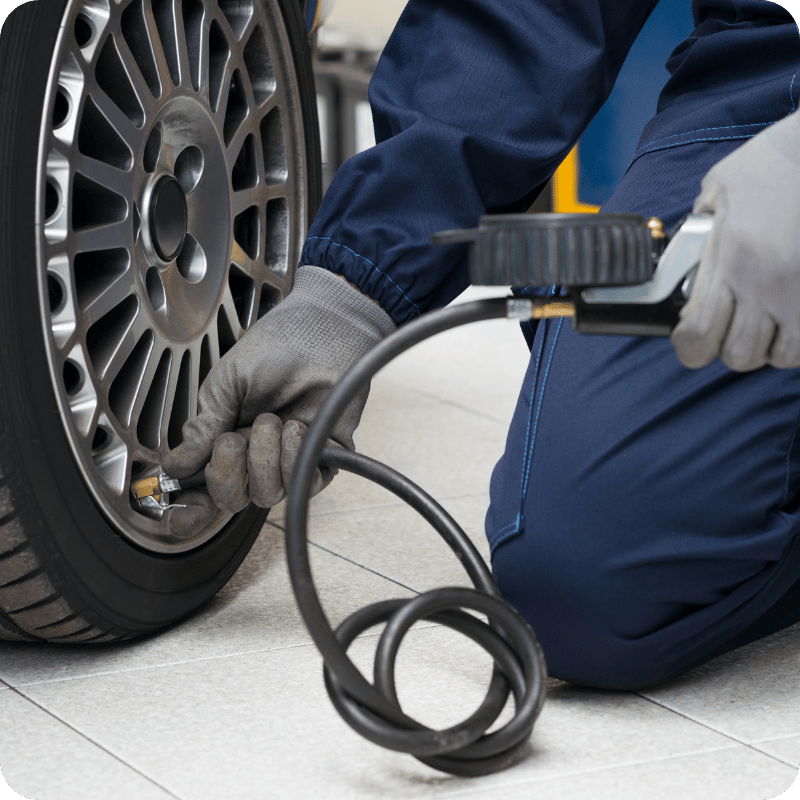Summer driving survival guide (4)
