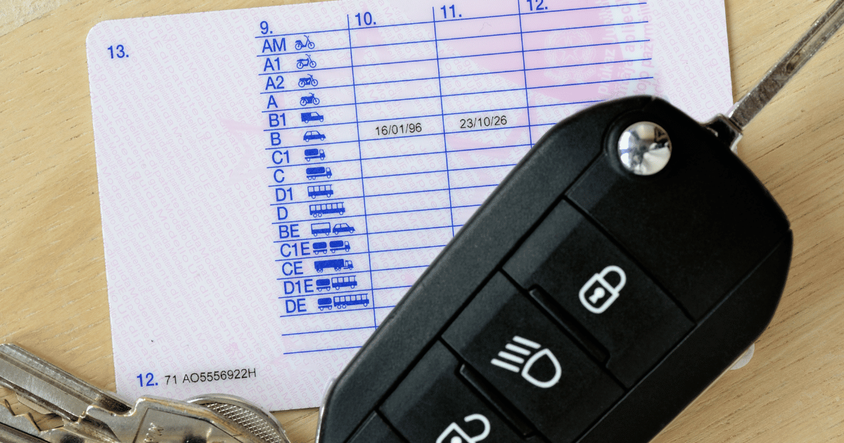 Driving licence Checks Training & Safe Driving : Driving licence Checks