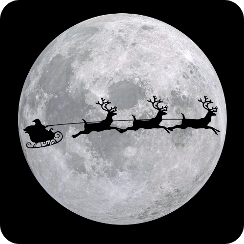 Rudolph - My Transport Planner